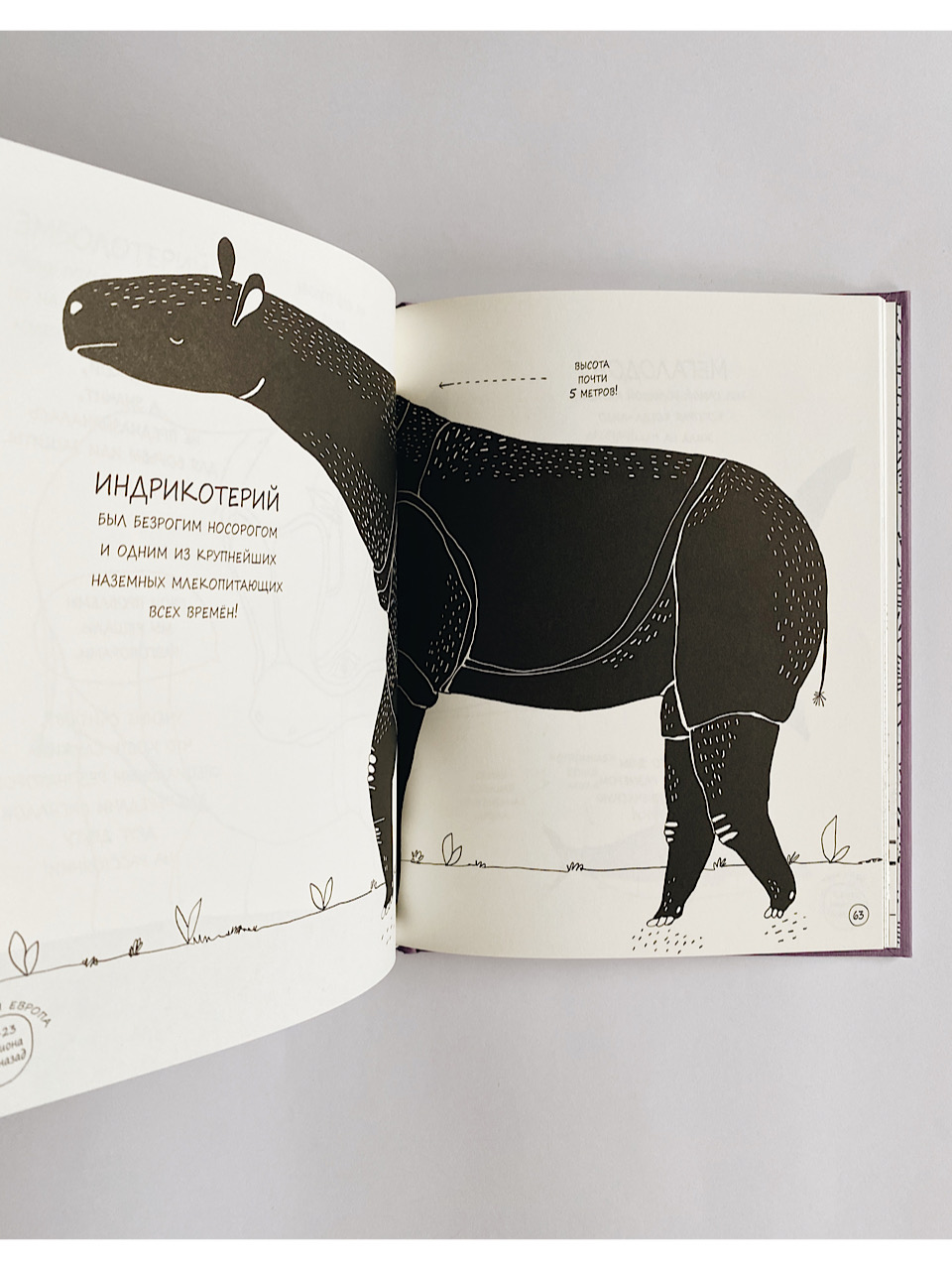 Истории о древних животных в картинках - Image 6