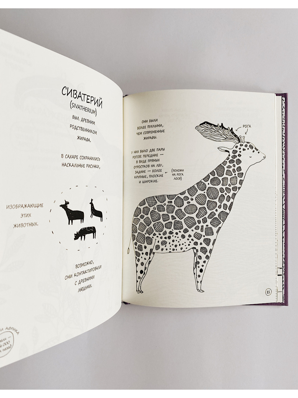 Истории о древних животных в картинках - Image 7