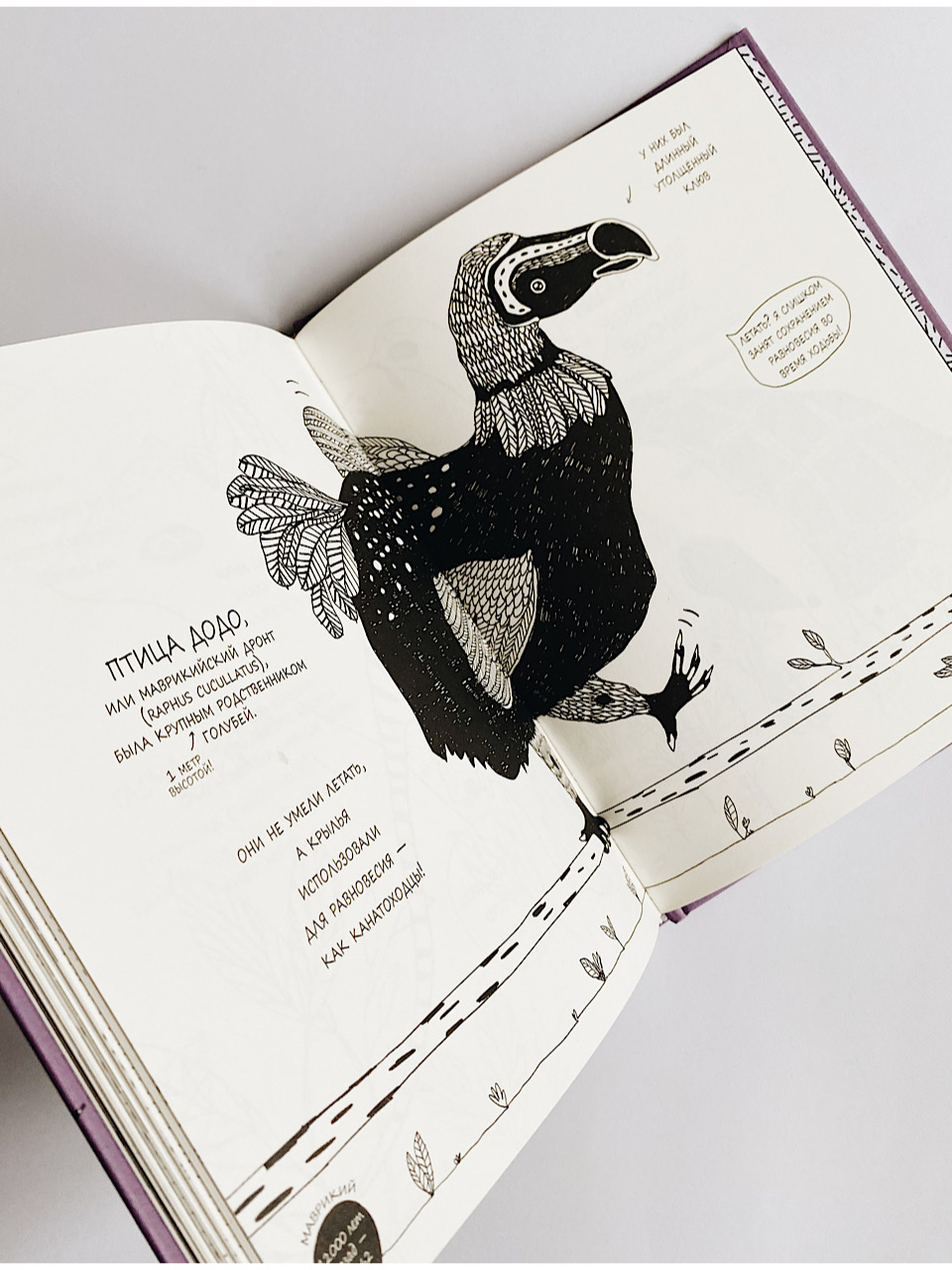 Истории о древних животных в картинках - Image 8