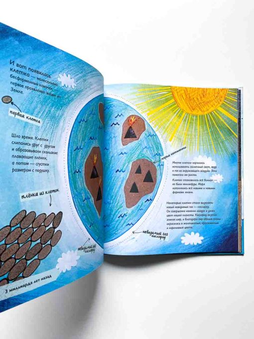 История жизни. Моя первая книга об эволюции - Image 6