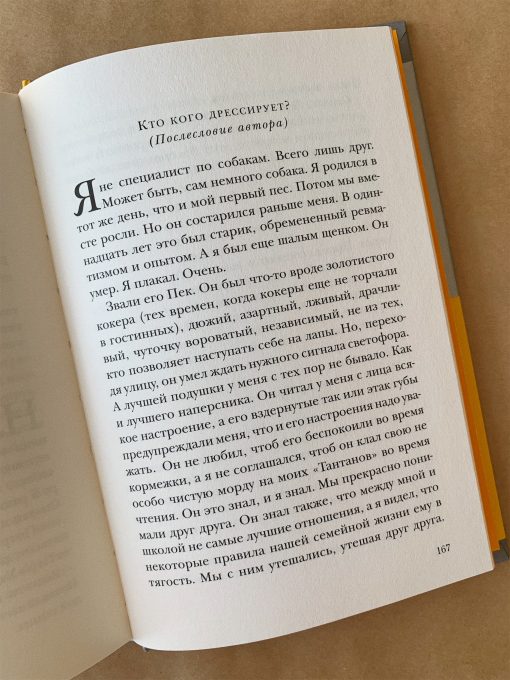 Собака Пeс - Image 5