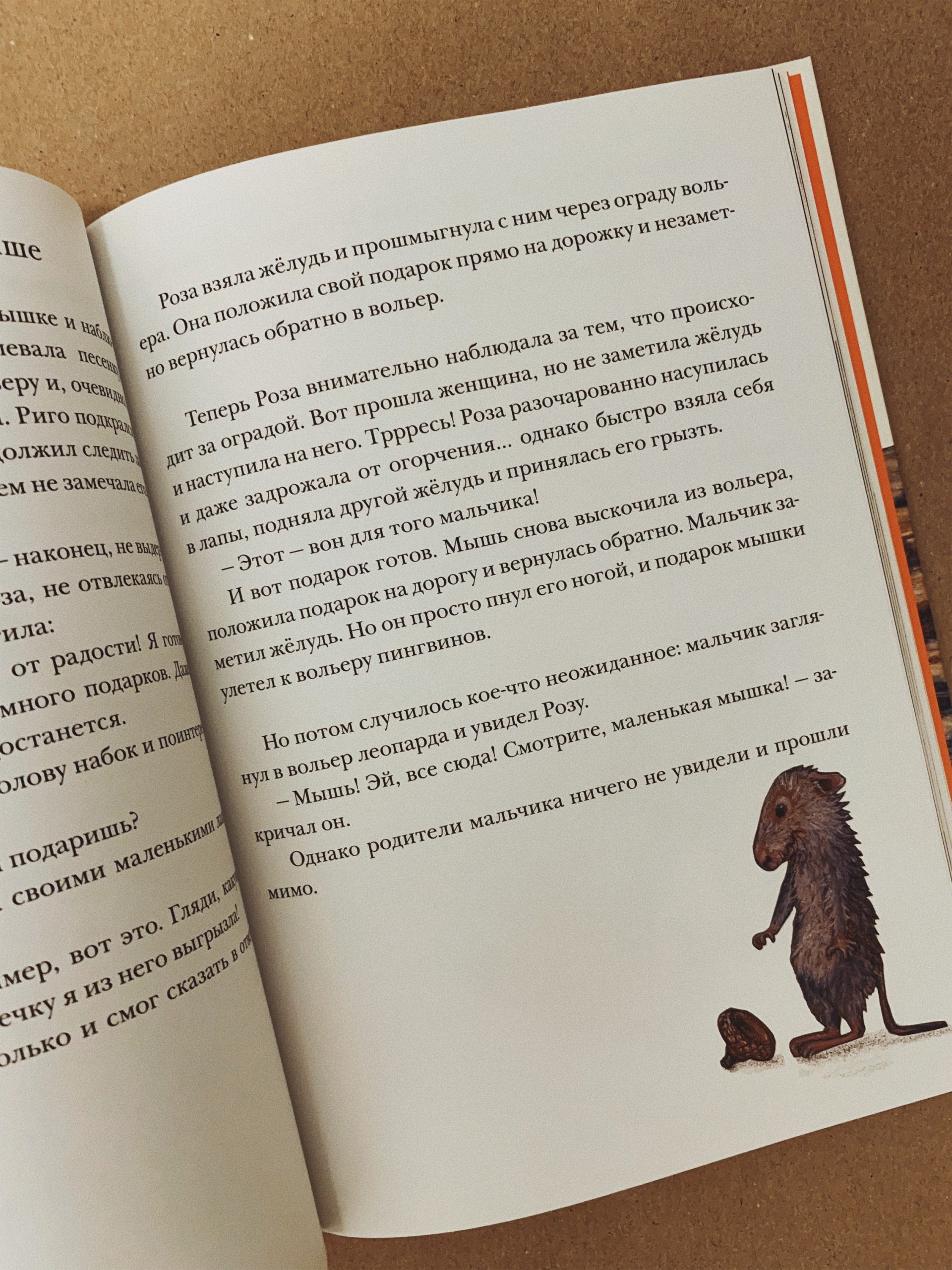 Риго и Роза. 28 историй из жизни животных в зоопарке - Image 2