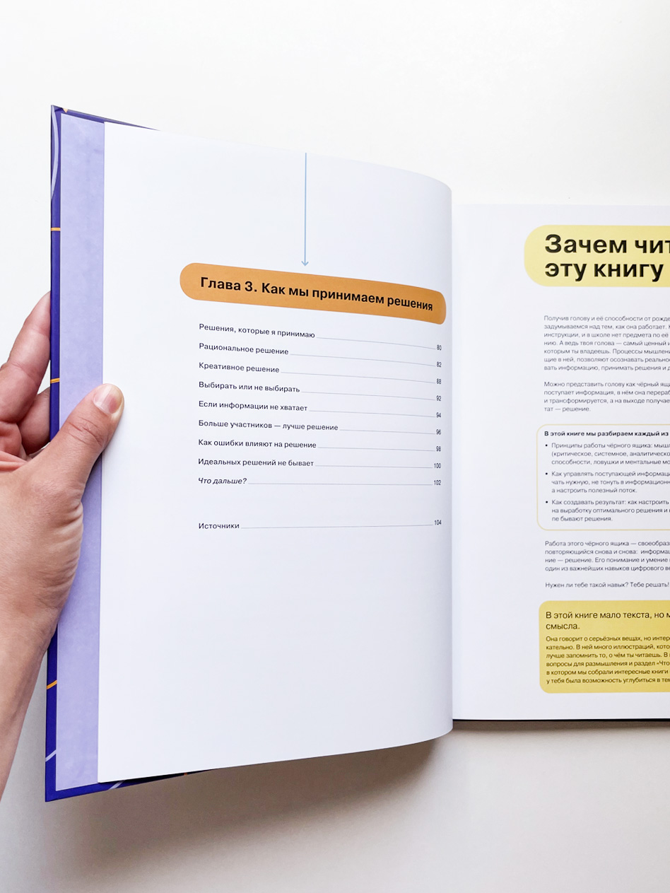 Как думать и выбирать. Визуальная инструкция для головы - Image 8