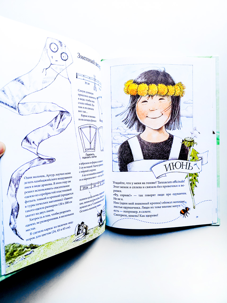 Календарь Линнеи - Image 3