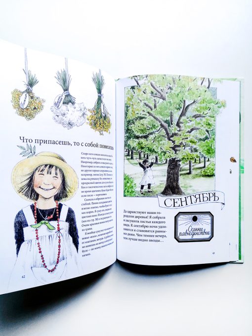 Календарь Линнеи - Image 4