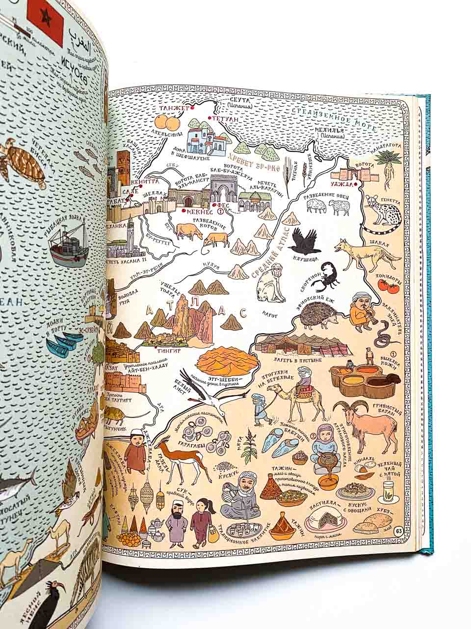 Карты. Путешествие в картинках по континентам, морям и культурам мира - Image 4