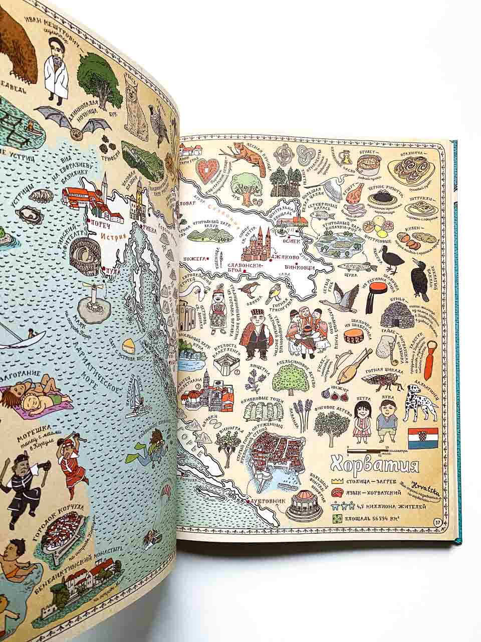 Карты. Путешествие в картинках по континентам, морям и культурам мира - Image 6