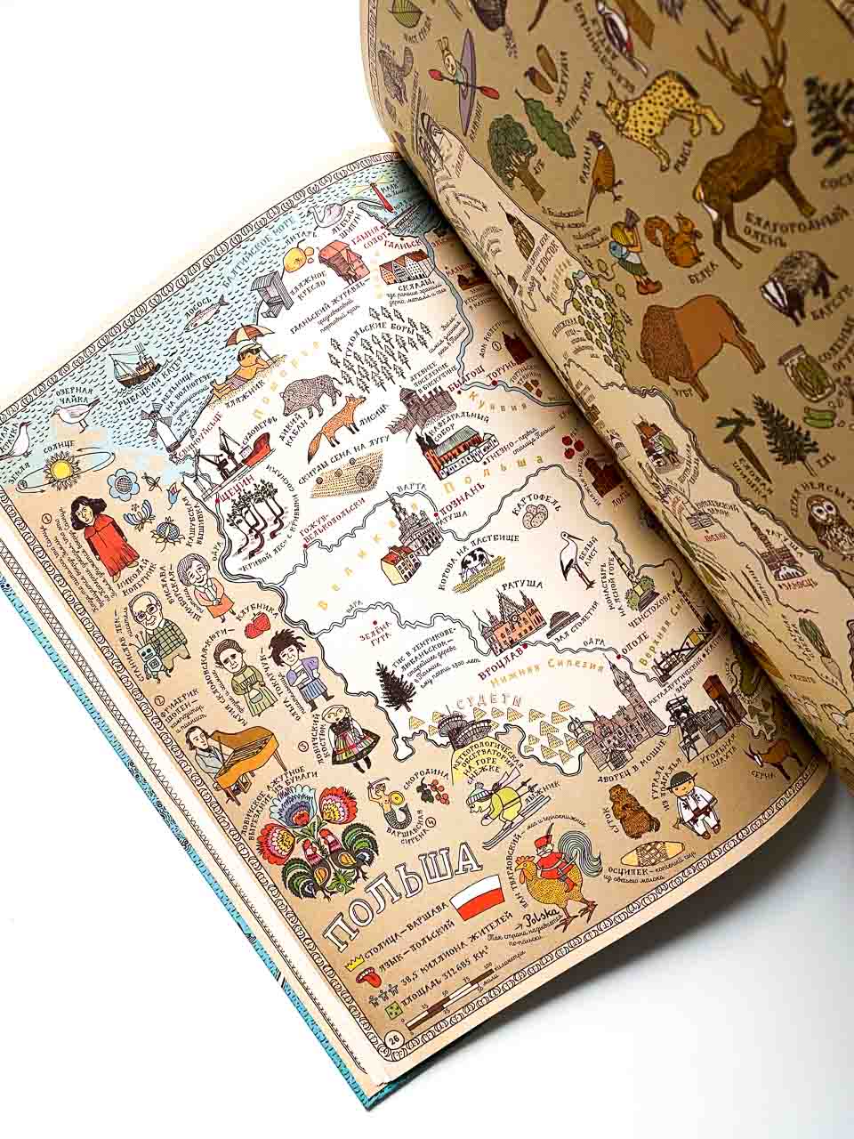 Карты. Путешествие в картинках по континентам, морям и культурам мира - Image 7