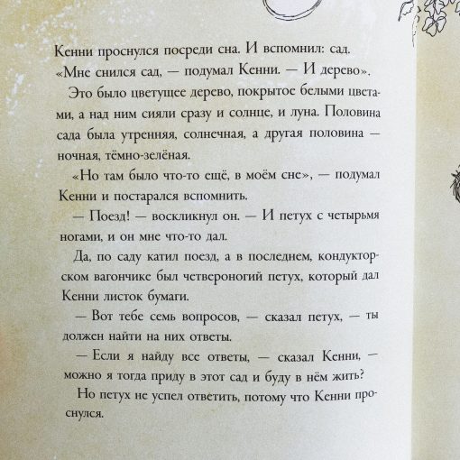 Кенни и его окно - Image 4