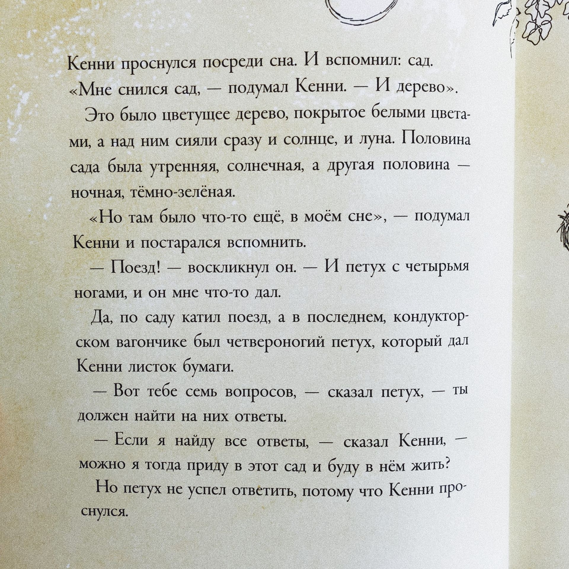 Кенни и его окно - Image 4