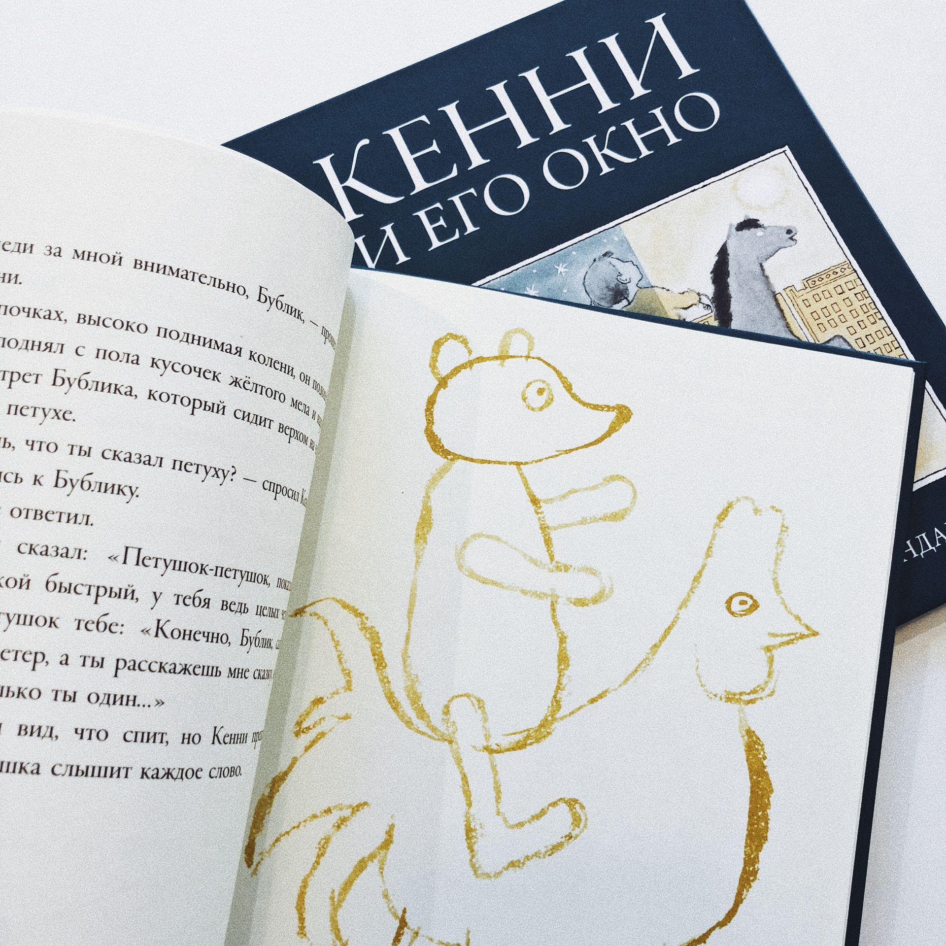 Кенни и его окно - Image 3
