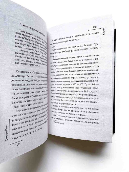 Кэрри - Image 4