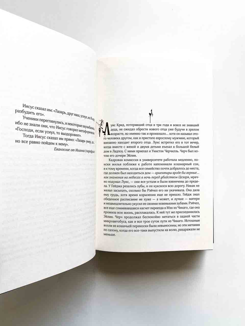 Кладбище домашних животных - Image 3