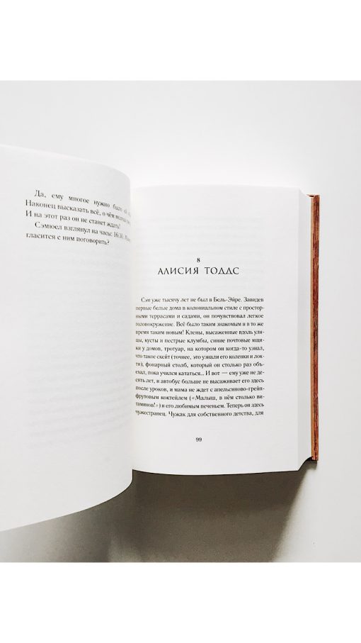 Книга времени. Семь монет антиквара (2) - Image 2
