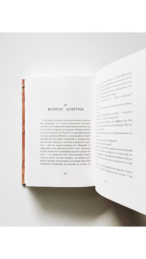 Книга времени. Семь монет антиквара (2) - Image 3