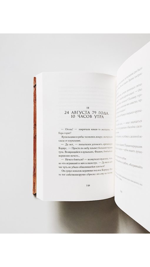 Книга времени. Семь монет антиквара (2) - Image 5