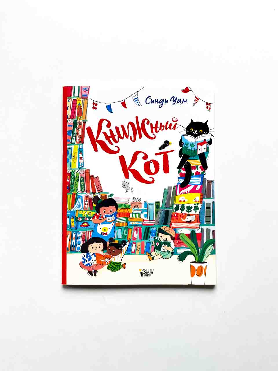 Книжный кот