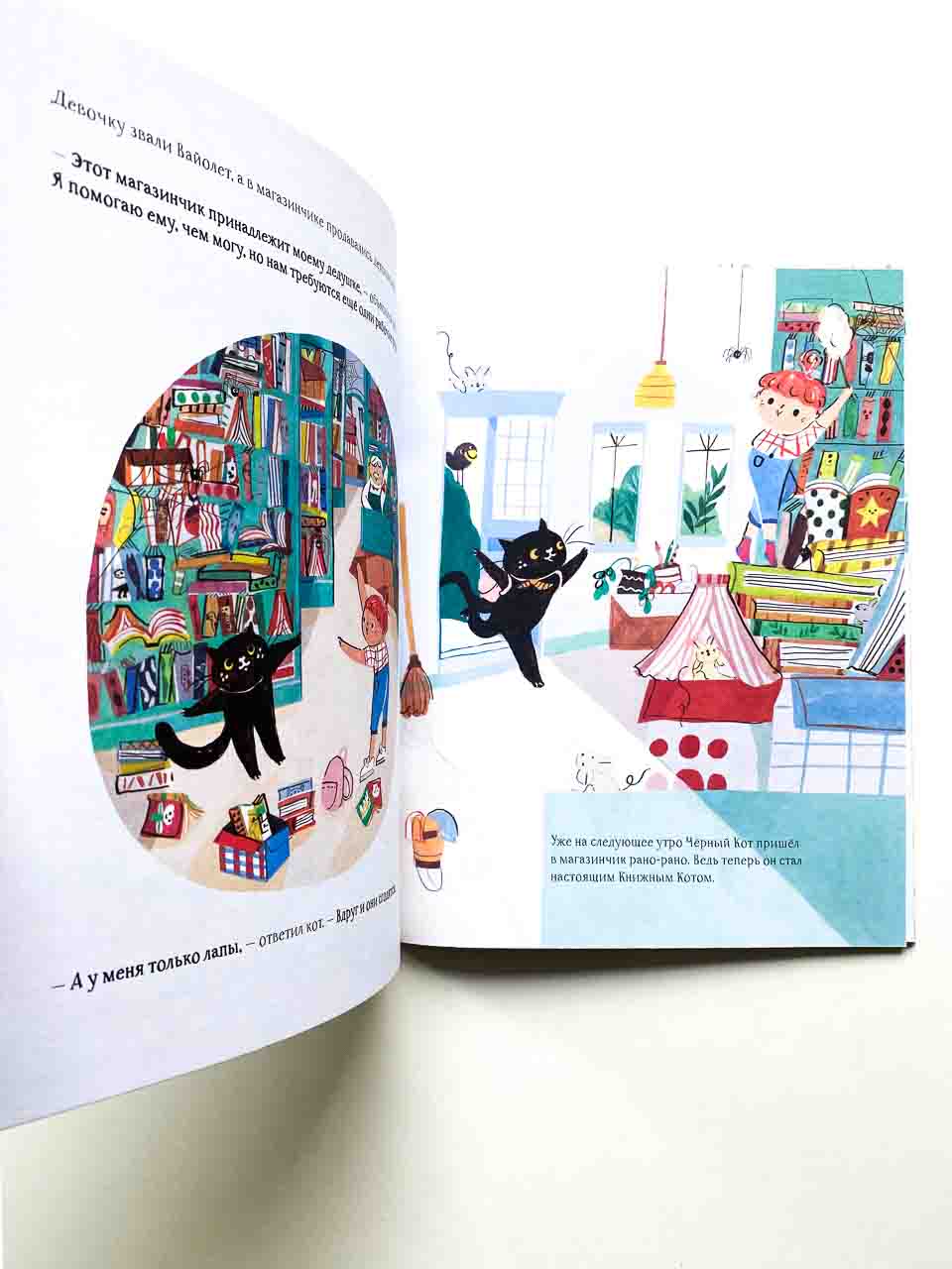Книжный кот - Image 3