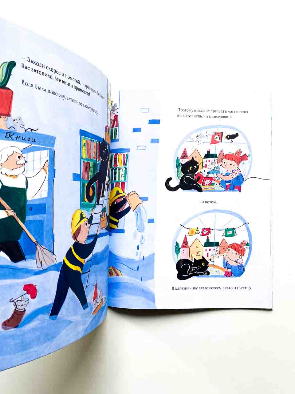 Книжный кот - Image 5