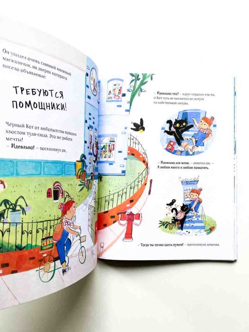 Книжный кот - Image 6