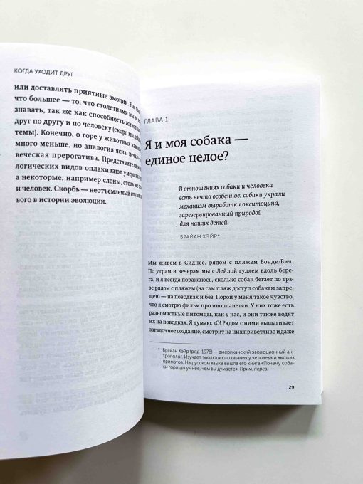 Когда уходит друг. Как пережить потерю любимого питомца - Image 3
