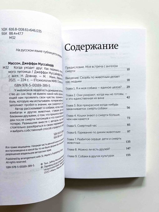 Когда уходит друг. Как пережить потерю любимого питомца - Image 2