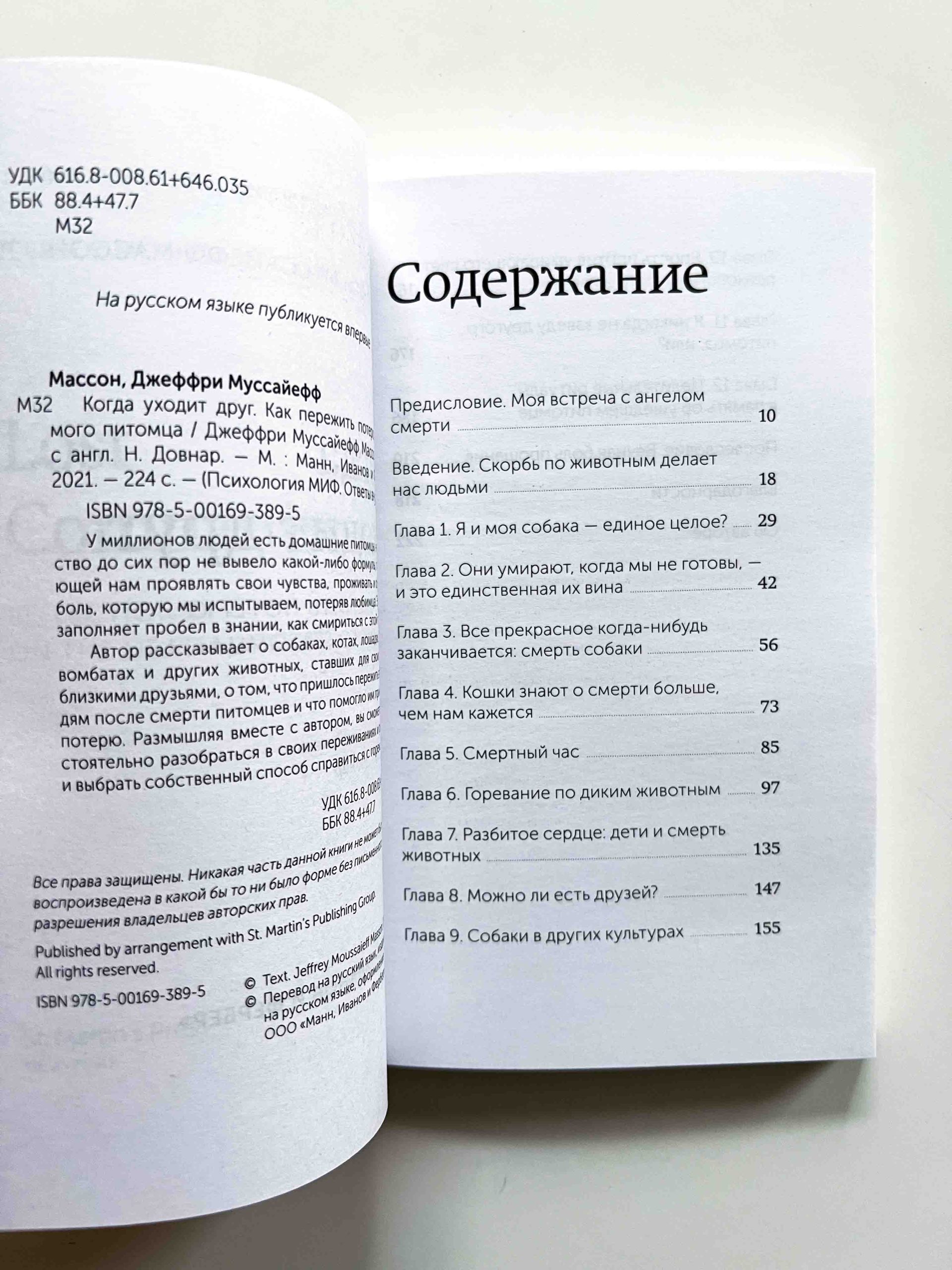 Когда уходит друг. Как пережить потерю любимого питомца - Image 2
