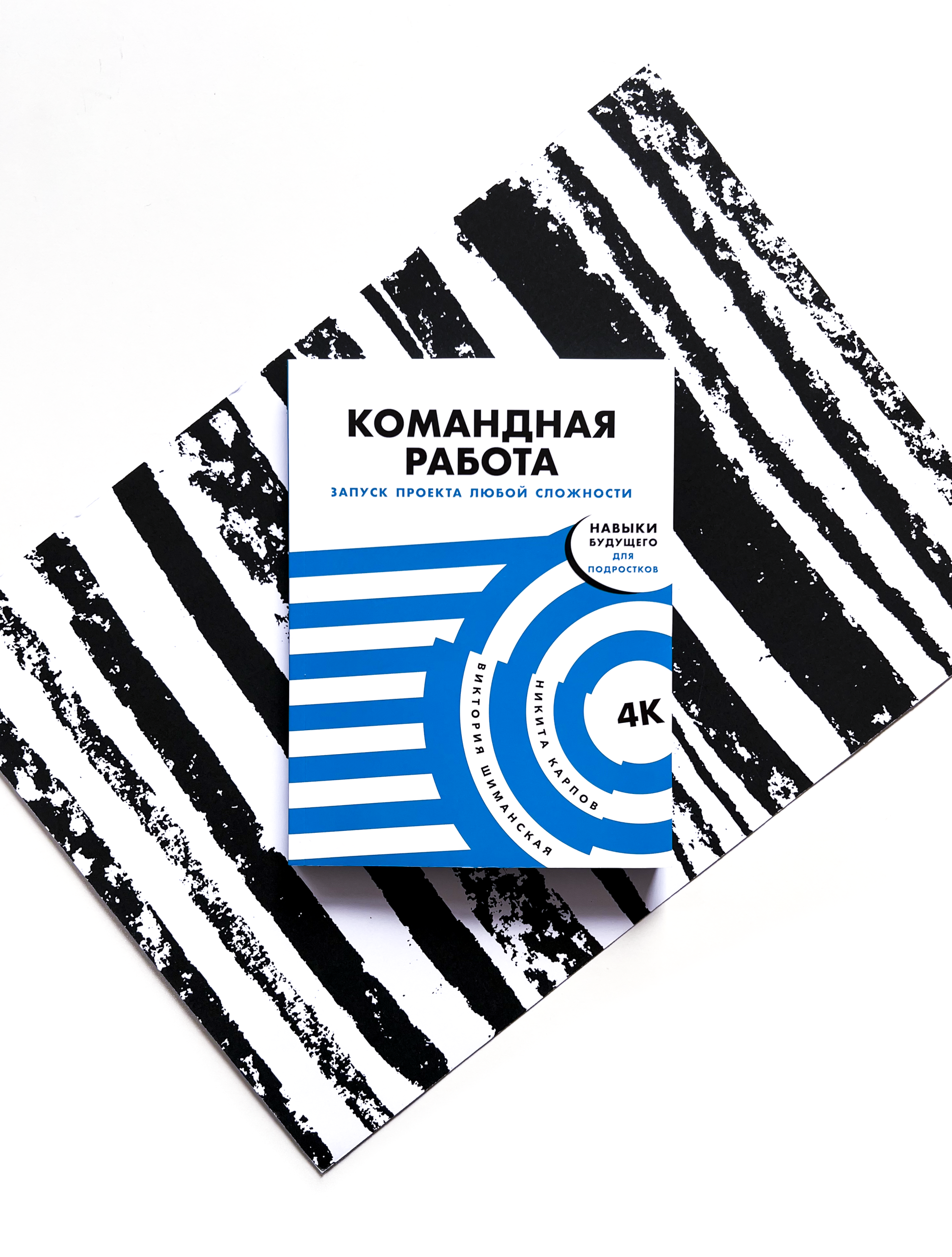Командная работа. Запуск проекта любой сложности