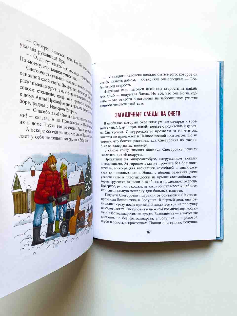 Кошки идут по снегу (3) - Image 4