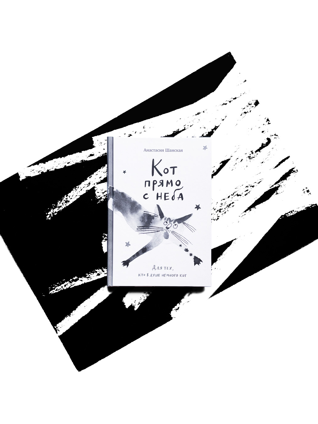 Кот прямо с неба