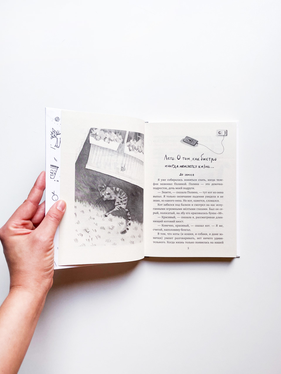 Кот прямо с неба - Image 2