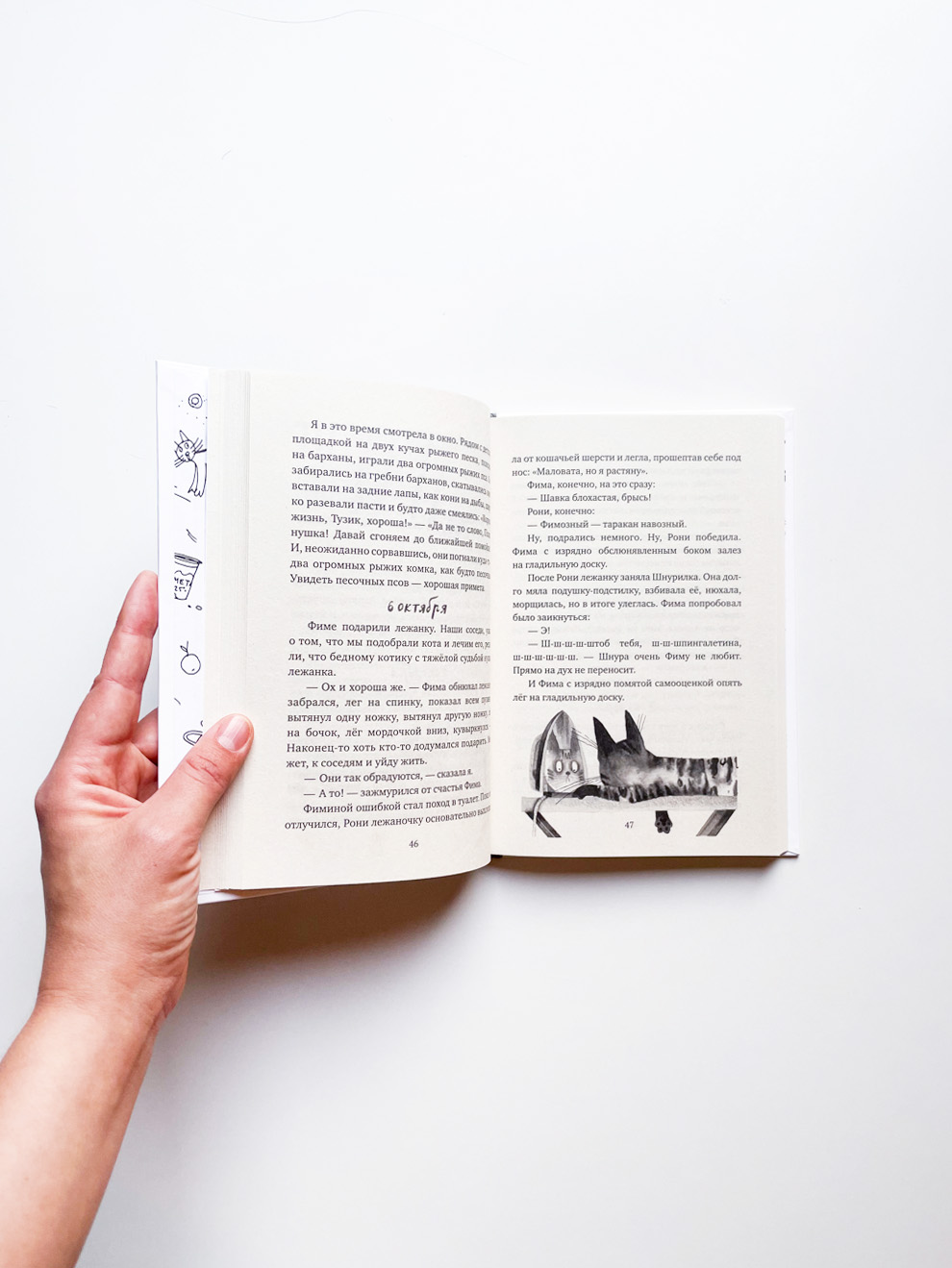 Кот прямо с неба - Image 5