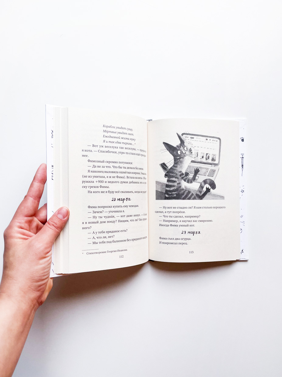 Кот прямо с неба - Image 4