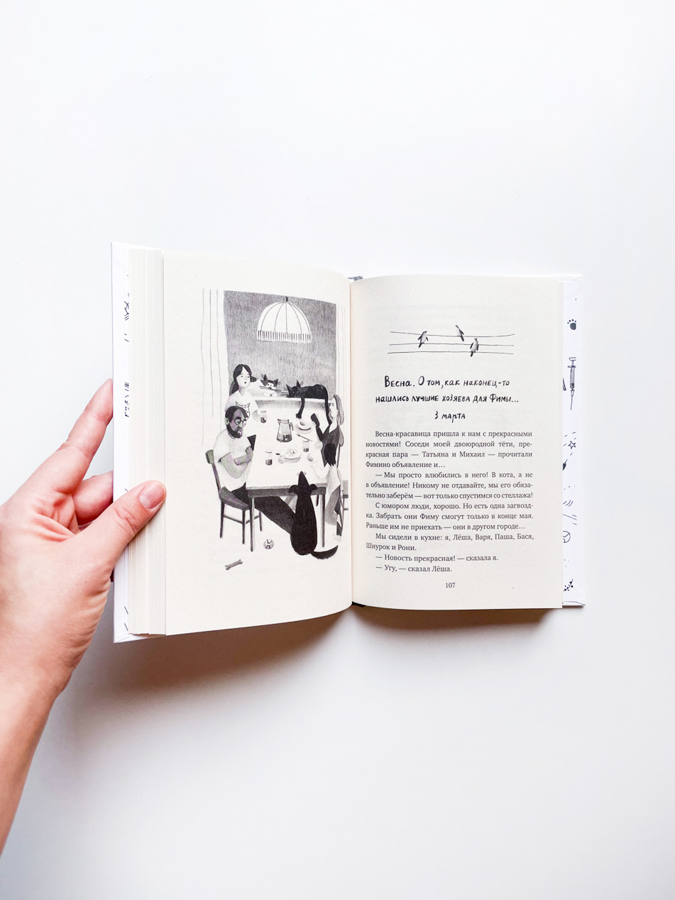 Кот прямо с неба - Image 3