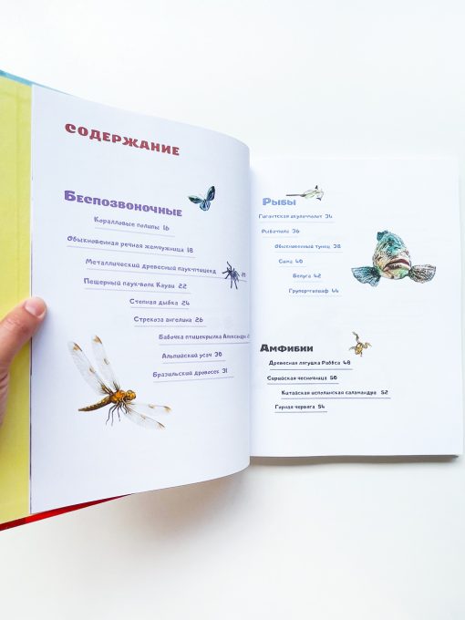 Красная книга планеты для детей. Редкие и исчезающие виды дикой природы - Image 2