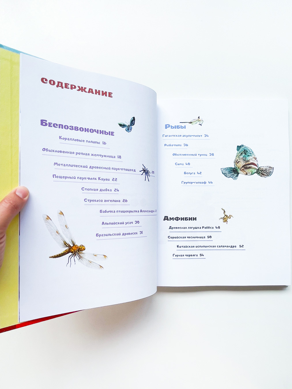 Красная книга планеты для детей. Редкие и исчезающие виды дикой природы - Image 2