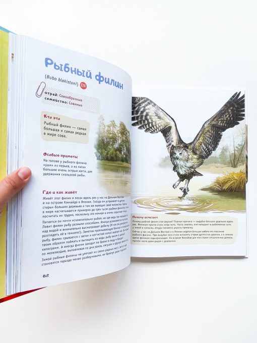 Красная книга планеты для детей. Редкие и исчезающие виды дикой природы - Image 4