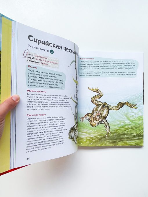 Красная книга планеты для детей. Редкие и исчезающие виды дикой природы - Image 5
