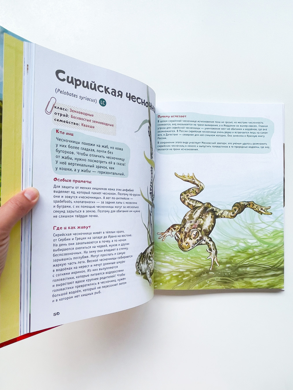 Красная книга планеты для детей. Редкие и исчезающие виды дикой природы - Image 5