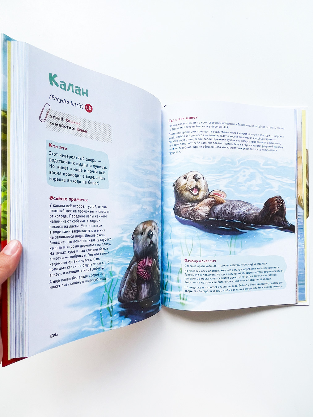 Красная книга планеты для детей. Редкие и исчезающие виды дикой природы - Image 9