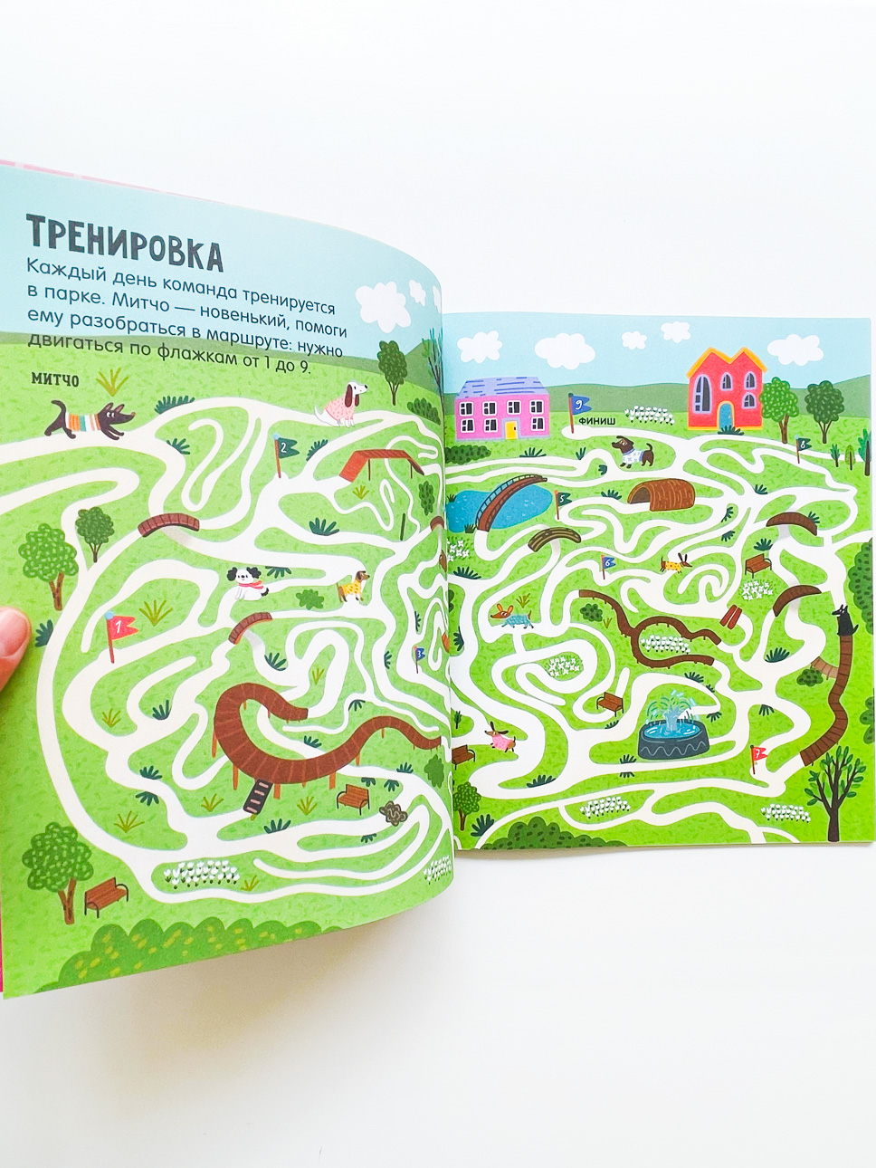 Лабиринты про собак - Image 4