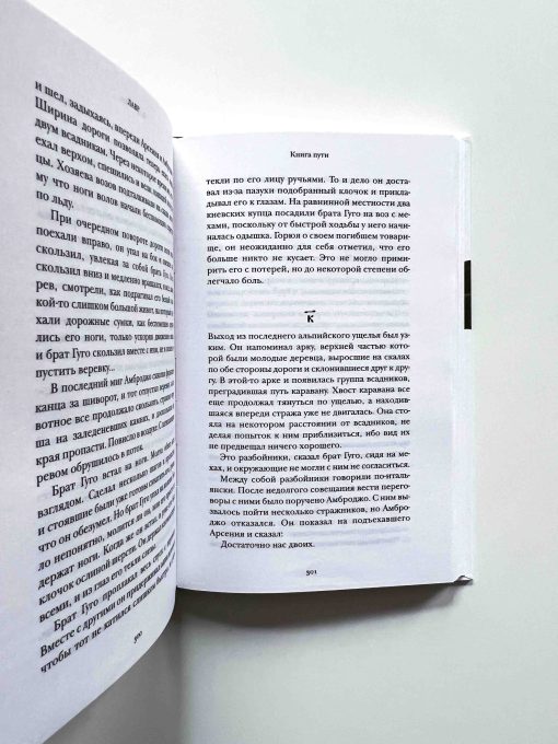 Лавр. Неисторический роман - Image 2