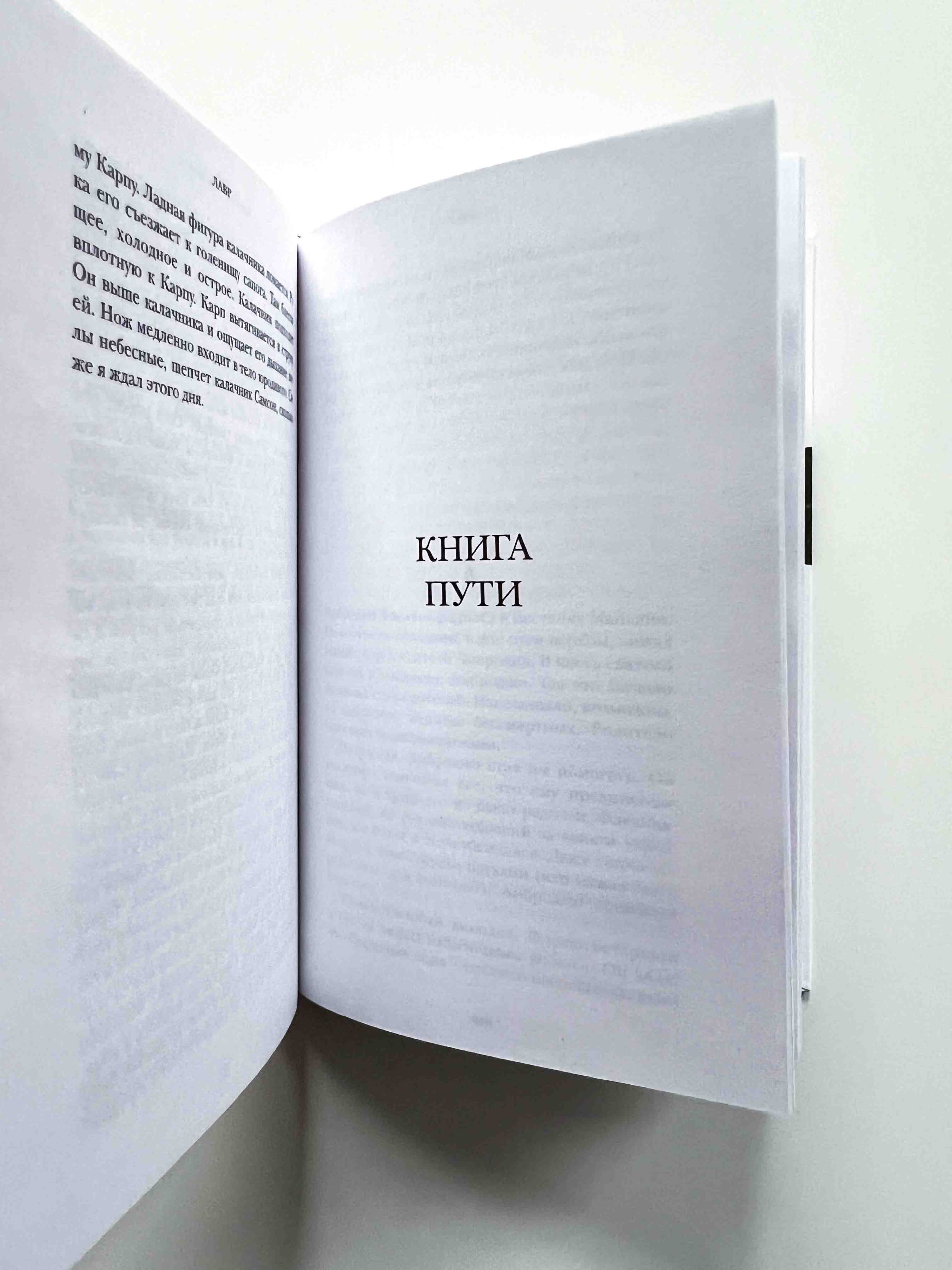 Лавр. Неисторический роман - Image 3