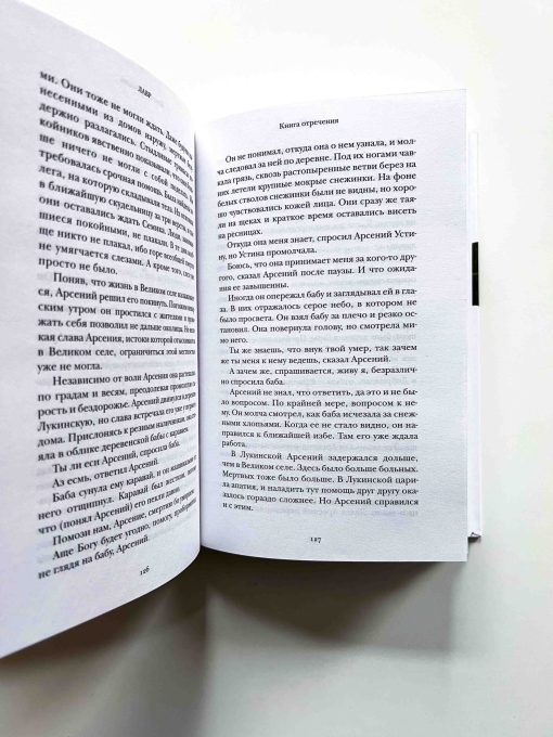 Лавр. Неисторический роман - Image 4