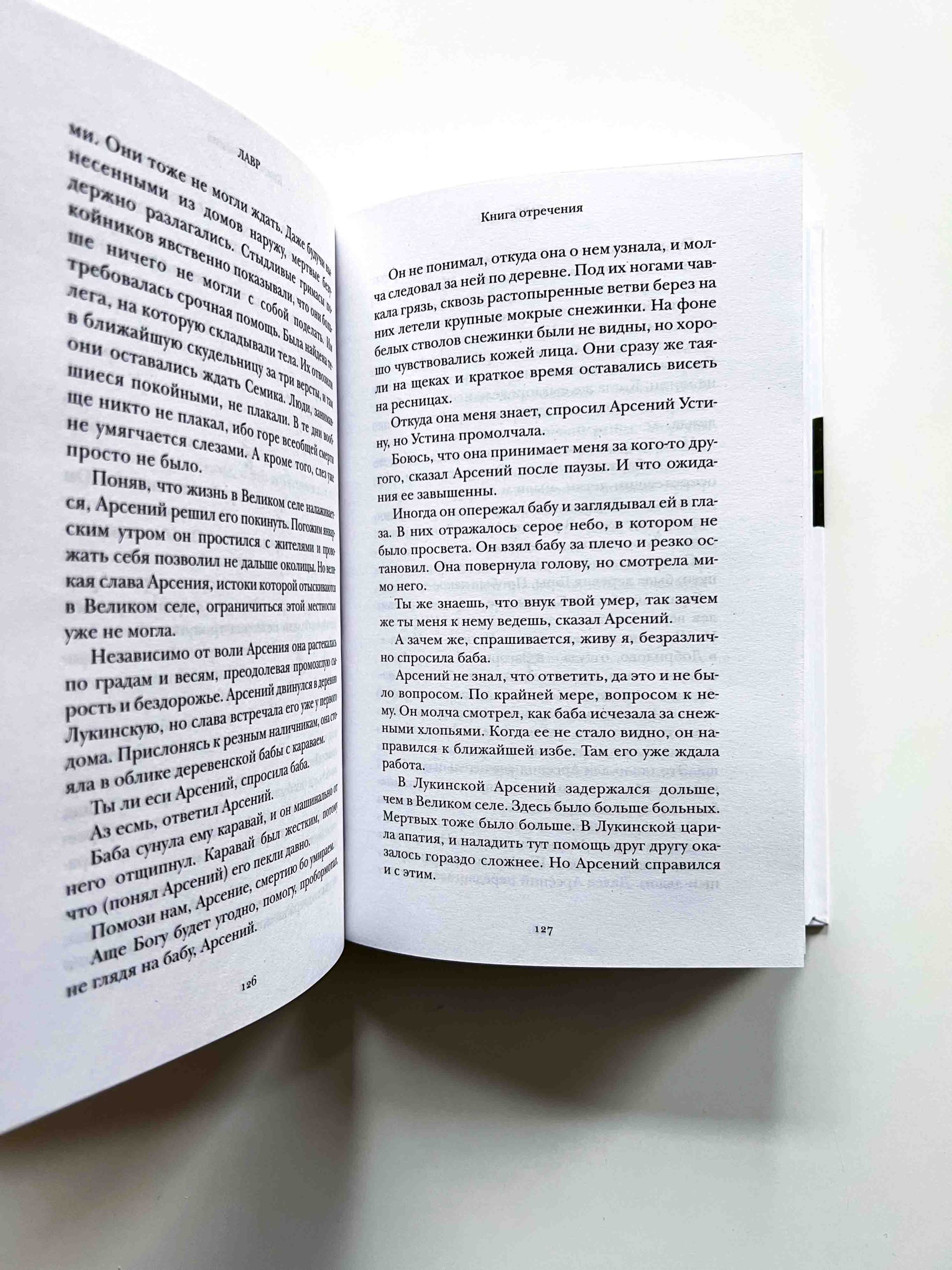 Лавр. Неисторический роман - Image 4