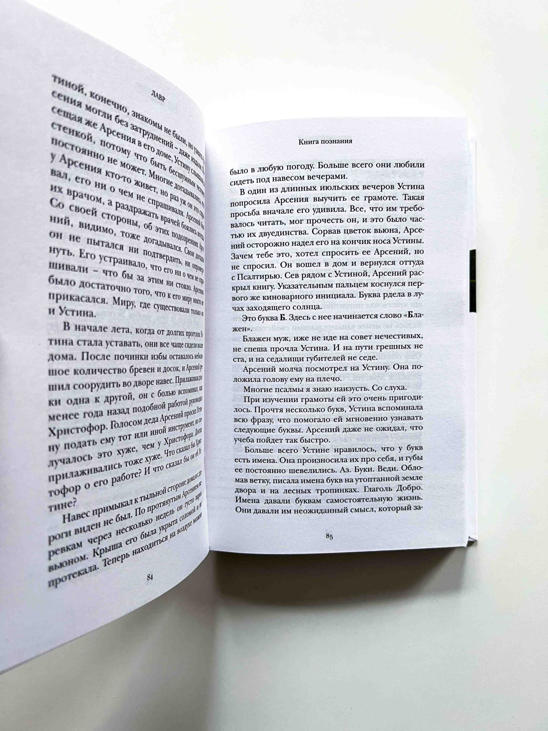 Лавр. Неисторический роман - Image 5