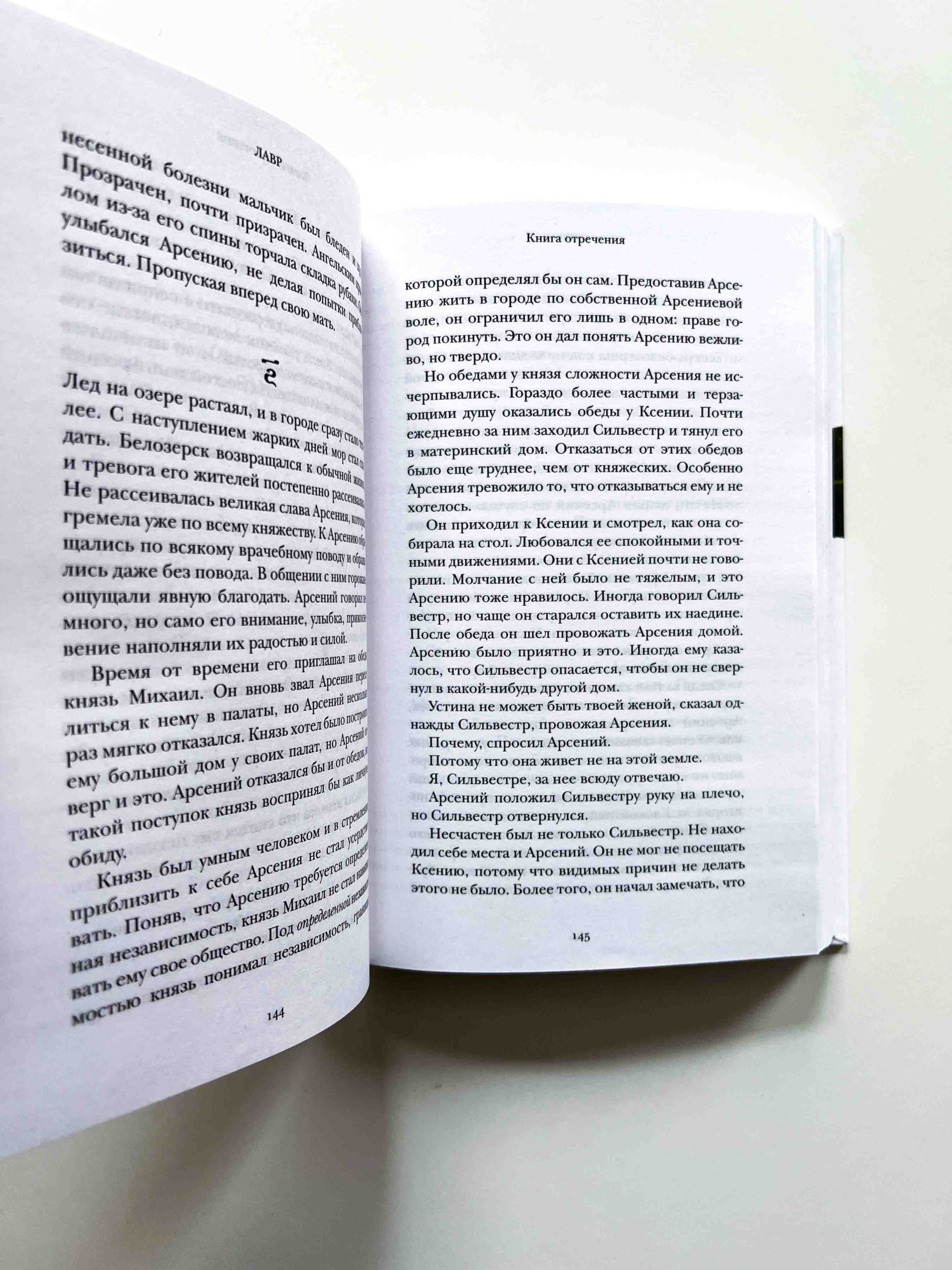 Лавр. Неисторический роман - Image 8