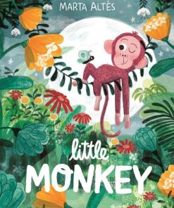 Little Monkey (Paperback)