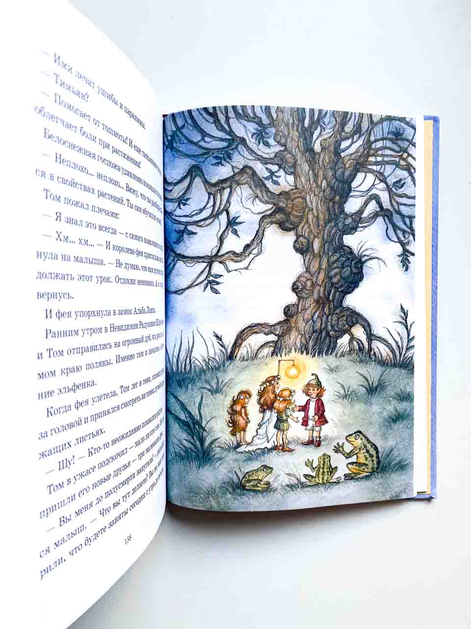Лунный Том и тайна страны Альба Лонга (2) - Image 2