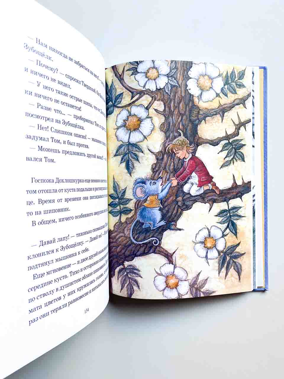 Лунный Том и тайна страны Альба Лонга (2) - Image 4